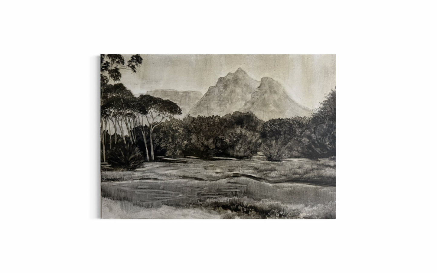Wetlands